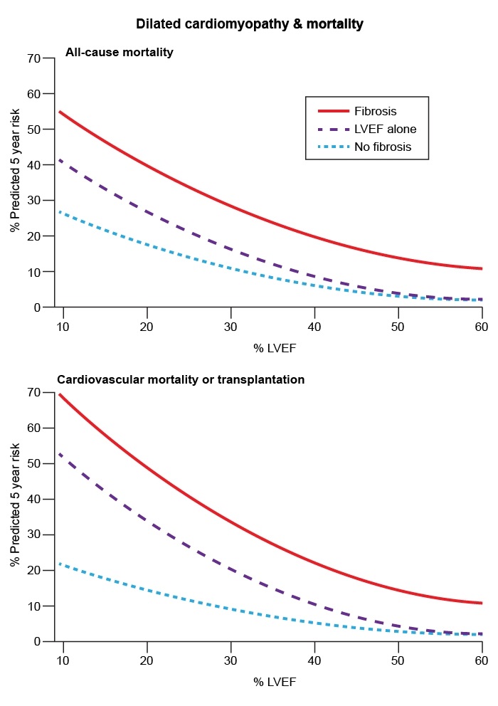 <strong>A 45-year-old man is diagnosed with dilated nonischemic cardiomyopathy. Late gadolinium enhancement cardiac magnetic resonance (CMR) imaging shows a left ventricular ejection fraction (LVEF) of 20% and evidence of extensive midwall myocardial scarring. A recent study determined prognosis in patients with dilated cardiomyopathy using CMR-derived LVEF and evidence of midwall myocardial scarring (fibrosis). Two models were assessed: one model was based on LVEF alone, and the other incorporated the presence or absence of fibrosis. The following 5-year prediction curves were reported: Based on the study results, what is the approximate predicted 5-year all-cause mortality for this patient?</strong> A)10% B)20% C)30% D)40% E)50%