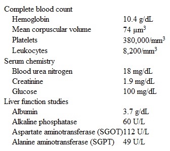 A 64-year-old man comes to the office due to progressive fatigue and weakness over the past several months.  The patient says,  I have very little energy and can hardly walk a block without resting.   He has had no chest pain, palpitations, or dyspnea at rest but has had mild breathlessness while walking.  His wife adds that he has lost his appetite, and she believes that he has lost some weight.  The patient was diagnosed with hypertension several years ago but does not take any medications.  He drinks a half-pint of whiskey a day.  Blood pressure is 148/86 mm Hg, pulse is 80/min, and respirations are 14/min.  Oxygen saturation is 98% while breathing ambient air.  Lung auscultation is normal and heart sounds are normal with no murmur.  The abdomen is nondistended, soft, and nontender on palpation.  Rectal examination shows occult blood-positive brown stool.  Laboratory results are as follows:   Which of the following is the best initial step in evaluation of this patient's anemia? A) Bone marrow biopsy B) Colonoscopy C) Erythropoietin level D) Esophagogastroduodenoscopy E) Tagged red blood cell scan