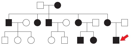An 18-year-old man comes to the emergency department due to sudden-onset left-sided weakness.  The patient has a seizure disorder but reports no seizures prior to current symptom onset.  Neurological examination shows left-sided hemiparesis and hemianopia.  On further questioning, the patient says that several of his family members also have a history of epilepsy and stroke, as shown in the pedigree diagram below (red arrow represents the patient) .   Which of the following is the most likely inheritance pattern of this patient's condition? A) Autosomal dominant B) Autosomal recessive C) Mitochondrial D) X-linked dominant E) X-linked recessive