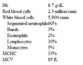 A 43-year-old male presents to your office with several months history of progressive fatigue and occasional palpitations.  He had three episodes of acute respiratory infections over the last year; otherwise, his past medical history is insignificant.  He smokes two packs of cigarettes daily and consumes alcohol occasionally.  He is not taking any medications and denies drug abuse.  He has been sexually active with several partners recently.  The physical examination is insignificant.  His laboratory values are:   His HIV test results are negative.  Which of the following is the best next step in the management of this patient? A) ESR and serum C-reactive protein B) Serum iron and TIBC C) Reticulocyte count D) Hemoglobin electrophoresis and Coombs' test E) Bone marrow biopsy