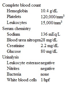 An 82-year-old woman is brought to the emergency department due to several hours of confusion and lethargy.  She resides in a nursing home, and her oral intake has been poor over the last 2 days.  She has had no fever, cough, dyspnea, or abdominal or urinary symptoms.  The patient has a history of hypertension, type 2 diabetes mellitus, chronic kidney disease, and coronary artery disease.  Three months ago, she had a non-ST elevation myocardial infarction and underwent percutaneous coronary intervention.  The patient has been taking her medications without issue, but her long-acting insulin was held last night.  Temperature is 35.7 C (96.3 F) , blood pressure is 90/40 mm Hg, pulse is 98/min, and respirations are 18/min.  Pulse oximetry shows 94% on room air.  The patient is unable to answer questions or follow commands.  Cardiopulmonary examination reveals no abnormalities.  No edema is present in the extremities, and the skin is warm to touch.  Neurologic examination is limited due to the patient's mental status, but no obvious focal abnormalities are noted.  ECG reveals normal sinus rhythm with minor T-wave abnormalities.  Laboratory results are as follows:   The patient is given a 500-mL bolus of normal saline.  Repeat vital signs after the fluids are completed reveal blood pressure of 85/40 mm Hg and heart rate of 95/min.  Which of the following is the most appropriate next step in management of this patient? A) Intravenous albumin and broad-spectrum antibiotics B) Intravenous dopamine and corticosteroids C) Intravenous norepinephrine and broad-spectrum antibiotics D) Normal saline boluses and broad-spectrum antibiotics E) Normal saline boluses and intravenous norepinephrine
