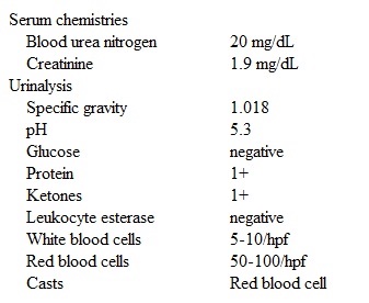 An 18-year-old man comes to the emergency department with flank pain and red urine for the past day.  Approximately 3 days ago, he experienced flu-like symptoms with rhinorrhea and throat pain that improved with over-the-counter acetaminophen.  The patient has no chronic medical conditions and takes no daily medications.  He does not use tobacco, alcohol, or illicit drugs.  Family history is unremarkable.  Temperature is 37.2 C (99 F) , blood pressure is 126/76 mm Hg, pulse is 88/min, and respirations are 18/min.  The patient has mild costovertebral tenderness.  The remainder of the physical examination is normal.  Laboratory results are as follows:   Serum complement levels are normal.  Spiral CT scan of the abdomen is normal.  Which of the following is the most likely diagnosis in this patient? A) Acute poststreptococcal glomerulonephritis B) Hereditary nephritis C) IgA nephropathy D) Nephrolithiasis E) Thin basement membrane disease