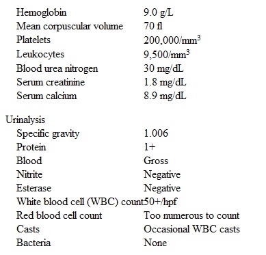 A 36-year-old woman with chronic back pain is seen in the emergency department with flank pain radiating to the groin and blood in her urine.   This pain is killing me,  she says,  and it is quite different from my usual back pain.   She has been taking ibuprofen and Percocet (oxycodone/acetaminophen)  daily for the past 10 years.  She has no fever or dysuria.  Her temperature is 36.7 C (98 F) , blood pressure is 152/91 mm Hg, pulse is 100/min, and respirations are 14/min.  Her mucous membranes are moist and pale.  She appears to be in mild distress due to pain.  Examination shows right costovertebral tenderness.  Laboratory results are as follows:   Noncontrast CT of her abdomen and pelvis reveals mild dilation of the right pelvicalyceal system, but no renal calculus is observed.  Serum protein electrophoresis and urine Bence Jones proteins are negative.  What is the most likely cause of her renal dysfunction? A) Acute glomerulonephritis B) Analgesic nephropathy C) Prerenal azotemia D) Pyelonephritis E) Ureteric calculus