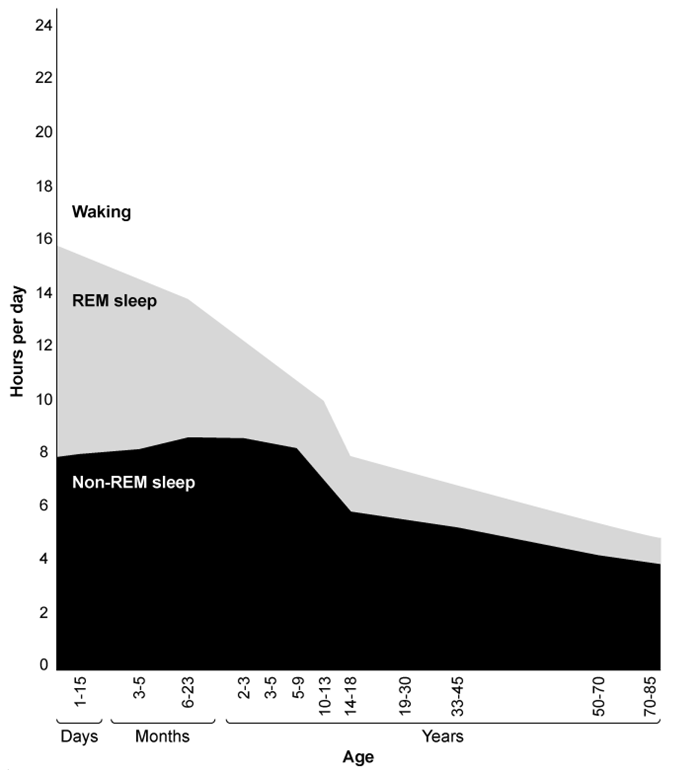 Passage Across the lifespan, mental and physical health depends on adequate sleep.  Extensive research suggests that sleep needs and characteristics change throughout an individual's life (Figure 1) .    <strong>Figure 1</strong>  Average hours of rapid eye movement (REM)  and non-REM sleep for different age groups across the lifespanChronic sleep deprivation acts as a physiological stressor and can have a multitude of short- and long-term negative health consequences.  Studies show that over 30% of adults get less than the recommended minimum of 7 hours of sleep per night, putting them at greater risk for metabolic disorders (eg, obesity, diabetes) , cardiovascular disease (eg, high blood pressure, stroke) , and emotional disorders (eg, anxiety, depression) .  Sleep deprivation is also associated with impaired cognitive functioning, decreased work performance, and an increased risk of accidents.However, the guideline that adults sleep at least 7 hours per night does not account for the considerable variation in individual sleep needs.  Research suggests that some individuals, known as  long sleepers,  require an average daily sleep duration of more than 9 hours, while  short sleepers  require an average daily sleep duration of less than 6 hours.  One study found that biological night duration (established by one's circadian pacemaker or  master clock )  appears to be a few hours shorter for short sleepers as compared to long sleepers.  Other studies suggest that short sleepers regularly sleep less than 7 hours without any apparent negative consequences due to one or more genetic mutations, such as a mutation on the DEC2 gene (also known as BHLHE41) , which codes for a transcription factor involved in regulating circadian rhythms. -Based on the description in the passage, should an individual who is a  short sleeper  be diagnosed with a sleep-wake disorder? A) Yes, because sleeping less than average is considered a sleep disturbance B) Yes, because diurnal circadian rhythms are affected C) No, because daytime functioning is not impaired D) No, because the causes of sleep-wake disorders are psychological, not genetic