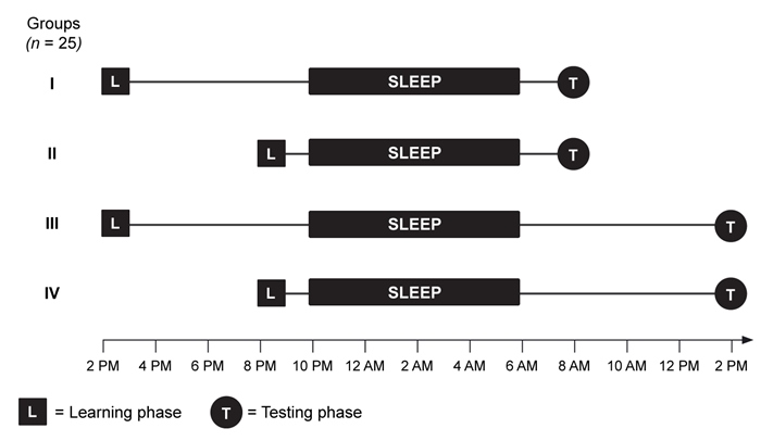 Passage Before memories have been consolidated they are considered  labile,  or unstable and easily altered.  Sleep is theorized to be essential to the process of memory consolidation, though the mechanisms for this are still under investigation.  Rapid eye movement (REM)  sleep has long been assumed to be the sleep stage most important for overall memory consolidation, but recent research suggests that different types of memory may be consolidated during different sleep stages.  Procedural memories appear to be primarily consolidated during REM sleep while declarative memories appear to be primarily consolidated during slow-wave sleep (SWS) .  Sleep duration, sleep regularity, and timing of sleep all contribute to the proportions of REM and SWS, so these factors also play an important role in memory consolidation processes.An experiment was performed at a large state university to investigate the relationship between sleep and learning in college students.  Researchers screened potential participants with a sleep habits questionnaire.  Those who reported having a regular sleep schedule were included in the study (N = 100)  and given a vocabulary knowledge pretest.  Participants were then randomly assigned to 1 of 4 experimental groups, each containing 25 students.  During the learning phase (L) , each student was asked to memorize a set of 10 common toy objects (eg, car, ball, stuffed animal, blocks)  and 10 vocabulary definitions that the student had labeled as  unknown  during the pretest.  Images of the toy objects were presented in a sequence, one at a time, for 5 seconds each; the 10 vocabulary definitions were listed on a sheet that students were allowed to study for 10 minutes.  During the testing phase (T) , students were asked to recall the objects in any order and define the vocabulary words (Figure 1) .    <strong>Figure 1</strong>  Experimental design for each of the 4 groupsResults were reported as the average recall accuracy for the objects and vocabulary definitions, by group (Table 1) .  Participants were then given a survey about the techniques they used when attempting to remember the toy objects and vocabulary definitions.  Some students reported associating the definitions and objects with one another.  For instance, one student reported that she related the words  plucky  (meaning brave)  and  tocsin  (meaning an alarm)  to an image of a toy fire truck, making it easier to recall the toy object and both associated vocabulary definitions.<strong>Table 1</strong>  Average Recall Accuracy, per Group    -In this study, the vocabulary recall task most directly assessed which of the following types of memory? A) Implicit B) Semantic C) Short-term D) Working