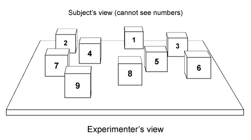 Passage Korsakoff syndrome (KS)  is caused by a thiamin (vitamin B<sub>1</sub>)  deficiency that often results from chronic alcohol consumption.  If KS is diagnosed during its earliest stages, its course may be reversed with thiamin supplements; otherwise, it progresses into a permanent type of dementia that includes severe cognitive dysfunction and memory loss.  Alzheimer disease (AD)  is associated with a different type of dementia that worsens over time, eventually causing memory loss, cognitive dysfunction, and severe brain atrophy.In one study, KS and AD subjects were assessed using the Corsi block-tapping task, which measures nonverbal memory.  The experiment consisted of 10 KS subjects, 10 AD subjects, and 10 healthy control subjects.  The control group was matched by age, gender, and premorbid IQ (intelligence quotient preceding the occurrence of symptoms)  to the KS and AD groups.    <strong>Figure 1</strong>  Corsi block-tapping taskThe Corsi block-tapping task consists of nine wooden blocks placed randomly on a board (Figure 1) .  To assess subjects' nonverbal memory, the experimenter touched four numbered blocks (numbers were visible only to the experimenter)  in a specific pattern.  Each subject was then asked to touch the same four blocks in the same sequence, either immediately or after a delay of 5-25 seconds.  Subjects were required to perform a distractor task during the delay period.  For the distractor task, subjects were asked to watch and reproduce a finger-tapping sequence first demonstrated by the experimenter.  Experimenters would touch a finger on their right hand to a finger on their left hand according to a specific sequence (eg, index finger to ring finger, then pinky finger to middle finger)  and the subjects would try to do the same.Results indicated that compared to controls, subjects with AD and KS were significantly impaired on the delayed memory task, although all subjects showed a significantly greater number of errors with increases in the delay interval. -Which of the following best summarizes a difference between Korsakoff Syndrome (KS)  and Alzheimer Disease (AD) ? A) KS has a physiological cause, but AD does not. B) KS is caused by environmental insult, but AD is genetic. C) KS is associated with biochemical changes in the brain, but AD is not. D) KS can be reversible, but AD is irreversible.