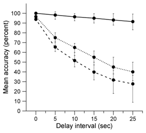 Passage Korsakoff syndrome (KS)  is caused by a thiamin (vitamin B<sub>1</sub>)  deficiency that often results from chronic alcohol consumption.  If KS is diagnosed during its earliest stages, its course may be reversed with thiamin supplements; otherwise, it progresses into a permanent type of dementia that includes severe cognitive dysfunction and memory loss.  Alzheimer disease (AD)  is associated with a different type of dementia that worsens over time, eventually causing memory loss, cognitive dysfunction, and severe brain atrophy.In one study, KS and AD subjects were assessed using the Corsi block-tapping task, which measures nonverbal memory.  The experiment consisted of 10 KS subjects, 10 AD subjects, and 10 healthy control subjects.  The control group was matched by age, gender, and premorbid IQ (intelligence quotient preceding the occurrence of symptoms)  to the KS and AD groups.    <strong>Figure 1</strong>  Corsi block-tapping taskThe Corsi block-tapping task consists of nine wooden blocks placed randomly on a board (Figure 1) .  To assess subjects' nonverbal memory, the experimenter touched four numbered blocks (numbers were visible only to the experimenter)  in a specific pattern.  Each subject was then asked to touch the same four blocks in the same sequence, either immediately or after a delay of 5-25 seconds.  Subjects were required to perform a distractor task during the delay period.  For the distractor task, subjects were asked to watch and reproduce a finger-tapping sequence first demonstrated by the experimenter.  Experimenters would touch a finger on their right hand to a finger on their left hand according to a specific sequence (eg, index finger to ring finger, then pinky finger to middle finger)  and the subjects would try to do the same.Results indicated that compared to controls, subjects with AD and KS were significantly impaired on the delayed memory task, although all subjects showed a significantly greater number of errors with increases in the delay interval. -Based on study results and the legend below, which of the following graphs best displays the mean and 95% confidence intervals for accuracy scores for each group?   A)    B)    C)    D)   