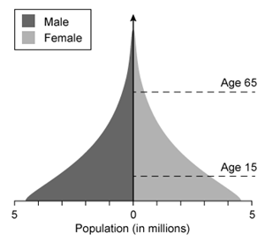 Which of the following population pyramids depicts the population that is most likely to decrease in size in the near future? A)    B)    C)    D)   