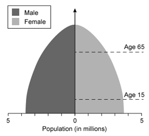 Which of the following population pyramids depicts the population that is most likely to decrease in size in the near future? A)    B)    C)    D)   