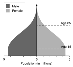 Which of the following population pyramids depicts the population that is most likely to decrease in size in the near future? A)    B)    C)    D)   