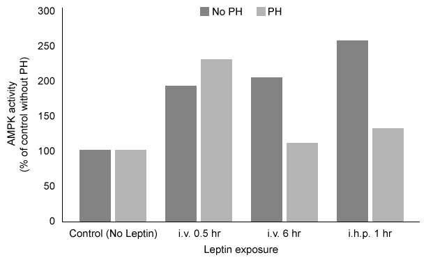 Passage Leptin signaling is vital for maintaining adequate body mass and preventing insulin resistance.  When energy stores are abundant, adipocytes produce leptin to stimulate fatty acid oxidation and glucose utilization.  One result of leptin signaling in skeletal muscle cells is the phosphorylation and activation of adenosine monophosphate-activated protein kinase (AMPK) .  AMPK facilitates the breakdown of triglycerides by decreasing the activity of acetyl-coenzyme A carboxylase (ACC) ; this leads to downregulation of fatty acid synthesis and upregulation of β-oxidation.Fatty acid oxidation has been studied by analyzing the effect of leptin on activation of AMPK and ACC in soleus muscles.  To identify leptin's mode of action, injections were administered to transgenic mice via the intravenous (1 mg/kg i.v.)  and intrahypothalamic (1 ng i.h.p [faster drug delivery])  routes.  Phentolamine (PH) , an α-adrenergic receptor ligand that binds to the same receptor as leptin, was administered concurrently in some of the mice.  Signaling to ACC from the citric acid cycle was also examined through the addition of citrate.    <strong>Figure 1</strong>  AMPK activity measured in soleus muscle injected with leptin and PH via i.v. and i.h.p.<strong>Table 1</strong>  ACC Activity in Soleus Muscle Exposed to Leptin Delivered via i.v. and i.h.p Injections in vivo    Adapted from Minokoshi Y, Kim YB, Peroni OD, et al. Leptin stimulates fatty-acid oxidation by activating AMP-activated protein kinase. Nature. 2002;415(6869) :339-43. -What are the most likely role and effect of citrate on ACC activity? A) A cofactor that activates ACC B) A coenzyme that activates ACC C) An allosteric effector that activates ACC D) An inhibitor that inactivates ACC