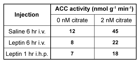 Passage Leptin signaling is vital for maintaining adequate body mass and preventing insulin resistance.  When energy stores are abundant, adipocytes produce leptin to stimulate fatty acid oxidation and glucose utilization.  One result of leptin signaling in skeletal muscle cells is the phosphorylation and activation of adenosine monophosphate-activated protein kinase (AMPK) .  AMPK facilitates the breakdown of triglycerides by decreasing the activity of acetyl-coenzyme A carboxylase (ACC) ; this leads to downregulation of fatty acid synthesis and upregulation of β-oxidation.Fatty acid oxidation has been studied by analyzing the effect of leptin on activation of AMPK and ACC in soleus muscles.  To identify leptin's mode of action, injections were administered to transgenic mice via the intravenous (1 mg/kg i.v.)  and intrahypothalamic (1 ng i.h.p [faster drug delivery])  routes.  Phentolamine (PH) , an α-adrenergic receptor ligand that binds to the same receptor as leptin, was administered concurrently in some of the mice.  Signaling to ACC from the citric acid cycle was also examined through the addition of citrate.    <strong>Figure 1</strong>  AMPK activity measured in soleus muscle injected with leptin and PH via i.v. and i.h.p.<strong>Table 1</strong>  ACC Activity in Soleus Muscle Exposed to Leptin Delivered via i.v. and i.h.p Injections in vivo    Adapted from Minokoshi Y, Kim YB, Peroni OD, et al. Leptin stimulates fatty-acid oxidation by activating AMP-activated protein kinase. Nature. 2002;415(6869) :339-43. -What are the most likely role and effect of citrate on ACC activity? A) A cofactor that activates ACC B) A coenzyme that activates ACC C) An allosteric effector that activates ACC D) An inhibitor that inactivates ACC