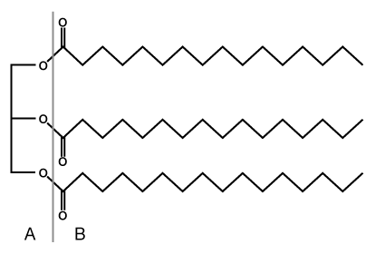 Passage Leptin signaling is vital for maintaining adequate body mass and preventing insulin resistance.  When energy stores are abundant, adipocytes produce leptin to stimulate fatty acid oxidation and glucose utilization.  One result of leptin signaling in skeletal muscle cells is the phosphorylation and activation of adenosine monophosphate-activated protein kinase (AMPK) .  AMPK facilitates the breakdown of triglycerides by decreasing the activity of acetyl-coenzyme A carboxylase (ACC) ; this leads to downregulation of fatty acid synthesis and upregulation of β-oxidation.Fatty acid oxidation has been studied by analyzing the effect of leptin on activation of AMPK and ACC in soleus muscles.  To identify leptin's mode of action, injections were administered to transgenic mice via the intravenous (1 mg/kg i.v.)  and intrahypothalamic (1 ng i.h.p [faster drug delivery])  routes.  Phentolamine (PH) , an α-adrenergic receptor ligand that binds to the same receptor as leptin, was administered concurrently in some of the mice.  Signaling to ACC from the citric acid cycle was also examined through the addition of citrate.    <strong>Figure 1</strong>  AMPK activity measured in soleus muscle injected with leptin and PH via i.v. and i.h.p.<strong>Table 1</strong>  ACC Activity in Soleus Muscle Exposed to Leptin Delivered via i.v. and i.h.p Injections in vivo    Adapted from Minokoshi Y, Kim YB, Peroni OD, et al. Leptin stimulates fatty-acid oxidation by activating AMP-activated protein kinase. Nature. 2002;415(6869) :339-43. -The structure of Compound 1, which is found in adipocytes, is shown below.  What would be the catabolic fate of this molecule?   A) Part A enters glycolysis and part B enters β-oxidation. B) Part A enters gluconeogenesis and part B enters fatty acid synthesis. C) Part B enters fatty acid synthesis and part A enters β-oxidation. D) Part B enters glycogenolysis and part A enters glycolysis.