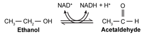 <strong>Passage Leptin signaling is vital for maintaining adequate body mass and preventing insulin resistance.  When energy stores are abundant, adipocytes produce leptin to stimulate fatty acid oxidation and glucose utilization.  One result of leptin signaling in skeletal muscle cells is the phosphorylation and activation of adenosine monophosphate-activated protein kinase (AMPK).  AMPK facilitates the breakdown of triglycerides by decreasing the activity of acetyl-coenzyme A carboxylase (ACC); this leads to downregulation of fatty acid synthesis and upregulation of β-oxidation.Fatty acid oxidation has been studied by analyzing the effect of leptin on activation of AMPK and ACC in soleus muscles.  To identify leptin's mode of action, injections were administered to transgenic mice via the intravenous (1 mg/kg i.v.) and intrahypothalamic (1 ng i.h.p [faster drug delivery]) routes.  Phentolamine (PH), an α-adrenergic receptor ligand that binds to the same receptor as leptin, was administered concurrently in some of the mice.  Signaling to ACC from the citric acid cycle was also examined through the addition of citrate.   <strong>Figure 1</strong>  AMPK activity measured in soleus muscle injected with leptin and PH via i.v. and i.h.p.<strong>Table 1</strong>  ACC Activity in Soleus Muscle Exposed to Leptin Delivered via i.v. and i.h.p Injections in vivo   Adapted from Minokoshi Y, Kim YB, Peroni OD, et al. Leptin stimulates fatty-acid oxidation by activating AMP-activated protein kinase. Nature. 2002;415(6869):339-43. Fatty acids must be activated prior to degradation by a ligase enzyme.  Which of the following reactions is catalyzed by a ligase?</strong> A)   B)   C)   D)   <div style=padding-top: 35px> 