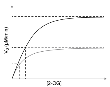 <strong>Passage Tumor hypoxia is a marker of resistance to chemotherapy and radiation.  The low oxygen saturation in solid tumors activates hypoxia-inducible factors (HIFs), which stimulate the expression of genes required for angiogenesis, erythropoiesis, and glucose utilization.  Under normal conditions, HIF-DNA binding is interrupted by HIF-prolyl hydroxylases (HIF-PHDs), enzymes that hydroxylate aliphatic residues such as leucine or proline on HIFs.  These hydroxylated residues serve as markers for the ubiquitin-proteasome system.  Researchers have proposed that changes in oxygen-dependent pathways such as the citric acid cycle can regulate HIF-PHD activity.Experiment 1A kinematic study was conducted to test the effect of citric acid cycle intermediates on HIF-PHDs.  Fumarate and succinate were examined with purified HIF-PHD against increasing concentrations of 2-oxoglutarate (2-OG), an HIF analog.   <strong>Figure 1</strong>  Activity of HIF-PHD exposed to succinate and fumarate in vitro based on 2-OG catalysisExperiment 2Researchers measured HIF-1a, a HIF subunit, using western blot analysis in wild-type (FH<sup>+</sup>) and fumarate-deficient (FH<sup>−</sup>) cells that were treated with fumarate under normoxic and hypoxic conditions (Figure 2).   <strong>Figure 2</strong>  HIF-1a in FH<sup>+</sup> and FH<sup>−</sup> cells grown in vitro under normoxic (N) and hypoxic (H) conditions Adapted from Koivunen P, Hirsilä M, Remes AM, Hassinen IE, Kivirikko KI, Myllyharju J. Inhibition of hypoxia-inducible factor (HIF) hydroxylases by citric acid cycle intermediates: possible links between cell metabolism and stabilization of HIF. J Biol Chem. 2007;282(7):4524-32. The peptide substrate (PS) binds HIF-PHDs outside of the active site.  PS binds to both HIF-PHD and HIF-PHD-2-OG complexes with equal affinity.  According to the passage, which graph would represent the effect of PS on HIF-PHD activity?</strong> A)   B)   C)   D)   <div style=padding-top: 35px> 
