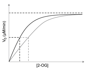 <strong>Passage Tumor hypoxia is a marker of resistance to chemotherapy and radiation.  The low oxygen saturation in solid tumors activates hypoxia-inducible factors (HIFs), which stimulate the expression of genes required for angiogenesis, erythropoiesis, and glucose utilization.  Under normal conditions, HIF-DNA binding is interrupted by HIF-prolyl hydroxylases (HIF-PHDs), enzymes that hydroxylate aliphatic residues such as leucine or proline on HIFs.  These hydroxylated residues serve as markers for the ubiquitin-proteasome system.  Researchers have proposed that changes in oxygen-dependent pathways such as the citric acid cycle can regulate HIF-PHD activity.Experiment 1A kinematic study was conducted to test the effect of citric acid cycle intermediates on HIF-PHDs.  Fumarate and succinate were examined with purified HIF-PHD against increasing concentrations of 2-oxoglutarate (2-OG), an HIF analog.   <strong>Figure 1</strong>  Activity of HIF-PHD exposed to succinate and fumarate in vitro based on 2-OG catalysisExperiment 2Researchers measured HIF-1a, a HIF subunit, using western blot analysis in wild-type (FH<sup>+</sup>) and fumarate-deficient (FH<sup>−</sup>) cells that were treated with fumarate under normoxic and hypoxic conditions (Figure 2).   <strong>Figure 2</strong>  HIF-1a in FH<sup>+</sup> and FH<sup>−</sup> cells grown in vitro under normoxic (N) and hypoxic (H) conditions Adapted from Koivunen P, Hirsilä M, Remes AM, Hassinen IE, Kivirikko KI, Myllyharju J. Inhibition of hypoxia-inducible factor (HIF) hydroxylases by citric acid cycle intermediates: possible links between cell metabolism and stabilization of HIF. J Biol Chem. 2007;282(7):4524-32. The peptide substrate (PS) binds HIF-PHDs outside of the active site.  PS binds to both HIF-PHD and HIF-PHD-2-OG complexes with equal affinity.  According to the passage, which graph would represent the effect of PS on HIF-PHD activity?</strong> A)   B)   C)   D)   <div style=padding-top: 35px> 
