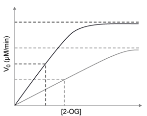 <strong>Passage Tumor hypoxia is a marker of resistance to chemotherapy and radiation.  The low oxygen saturation in solid tumors activates hypoxia-inducible factors (HIFs), which stimulate the expression of genes required for angiogenesis, erythropoiesis, and glucose utilization.  Under normal conditions, HIF-DNA binding is interrupted by HIF-prolyl hydroxylases (HIF-PHDs), enzymes that hydroxylate aliphatic residues such as leucine or proline on HIFs.  These hydroxylated residues serve as markers for the ubiquitin-proteasome system.  Researchers have proposed that changes in oxygen-dependent pathways such as the citric acid cycle can regulate HIF-PHD activity.Experiment 1A kinematic study was conducted to test the effect of citric acid cycle intermediates on HIF-PHDs.  Fumarate and succinate were examined with purified HIF-PHD against increasing concentrations of 2-oxoglutarate (2-OG), an HIF analog.   <strong>Figure 1</strong>  Activity of HIF-PHD exposed to succinate and fumarate in vitro based on 2-OG catalysisExperiment 2Researchers measured HIF-1a, a HIF subunit, using western blot analysis in wild-type (FH<sup>+</sup>) and fumarate-deficient (FH<sup>−</sup>) cells that were treated with fumarate under normoxic and hypoxic conditions (Figure 2).   <strong>Figure 2</strong>  HIF-1a in FH<sup>+</sup> and FH<sup>−</sup> cells grown in vitro under normoxic (N) and hypoxic (H) conditions Adapted from Koivunen P, Hirsilä M, Remes AM, Hassinen IE, Kivirikko KI, Myllyharju J. Inhibition of hypoxia-inducible factor (HIF) hydroxylases by citric acid cycle intermediates: possible links between cell metabolism and stabilization of HIF. J Biol Chem. 2007;282(7):4524-32. The peptide substrate (PS) binds HIF-PHDs outside of the active site.  PS binds to both HIF-PHD and HIF-PHD-2-OG complexes with equal affinity.  According to the passage, which graph would represent the effect of PS on HIF-PHD activity?</strong> A)   B)   C)   D)   <div style=padding-top: 35px> 