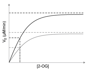 <strong>Passage Tumor hypoxia is a marker of resistance to chemotherapy and radiation.  The low oxygen saturation in solid tumors activates hypoxia-inducible factors (HIFs), which stimulate the expression of genes required for angiogenesis, erythropoiesis, and glucose utilization.  Under normal conditions, HIF-DNA binding is interrupted by HIF-prolyl hydroxylases (HIF-PHDs), enzymes that hydroxylate aliphatic residues such as leucine or proline on HIFs.  These hydroxylated residues serve as markers for the ubiquitin-proteasome system.  Researchers have proposed that changes in oxygen-dependent pathways such as the citric acid cycle can regulate HIF-PHD activity.Experiment 1A kinematic study was conducted to test the effect of citric acid cycle intermediates on HIF-PHDs.  Fumarate and succinate were examined with purified HIF-PHD against increasing concentrations of 2-oxoglutarate (2-OG), an HIF analog.   <strong>Figure 1</strong>  Activity of HIF-PHD exposed to succinate and fumarate in vitro based on 2-OG catalysisExperiment 2Researchers measured HIF-1a, a HIF subunit, using western blot analysis in wild-type (FH<sup>+</sup>) and fumarate-deficient (FH<sup>−</sup>) cells that were treated with fumarate under normoxic and hypoxic conditions (Figure 2).   <strong>Figure 2</strong>  HIF-1a in FH<sup>+</sup> and FH<sup>−</sup> cells grown in vitro under normoxic (N) and hypoxic (H) conditions Adapted from Koivunen P, Hirsilä M, Remes AM, Hassinen IE, Kivirikko KI, Myllyharju J. Inhibition of hypoxia-inducible factor (HIF) hydroxylases by citric acid cycle intermediates: possible links between cell metabolism and stabilization of HIF. J Biol Chem. 2007;282(7):4524-32. The peptide substrate (PS) binds HIF-PHDs outside of the active site.  PS binds to both HIF-PHD and HIF-PHD-2-OG complexes with equal affinity.  According to the passage, which graph would represent the effect of PS on HIF-PHD activity?</strong> A)   B)   C)   D)   <div style=padding-top: 35px> 