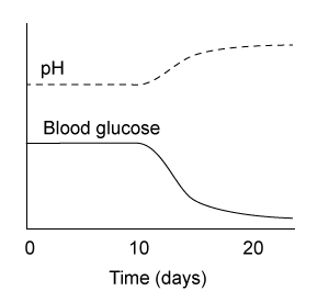 <strong>Passage The liver plays a central role in maintaining blood glucose homoeostasis.  It contains the highest concentration of glycogen of any organ in the body and is one of few organs that can regenerate glucose from metabolic byproducts.  The liver can replenish glucose in muscle and brain tissue during times of fasting, and it can help prevent lactate accumulation during intense physical activity.Von Gierke disease is a rare autosomal recessive disorder that arises from inactivating mutations in the liver enzyme glucose 6-phosphatase (G6Pase).  It affects roughly 1 in 100,000 individuals, and the resulting loss of both hormonal sensitivity and enzymatic activity leads to hypoglycemia (low blood sugar).  Von Gierke can also cause an increase in blood acidity concurrent with lactate build-up.  Patients typically become symptomatic shortly after birth with convulsions, hyperventilation, and tremors.  Left untreated, patients may develop gout, osteoporosis, and life-threatening complications such as kidney failure and liver tumors.In an effort to examine the biochemical consequences of this disorder, scientists generated a genetically engineered mouse model with liver G6Pase expression under the control of the Tet-Off system at both alleles.  Under this system, addition of the small molecule tetracycline in the water source of the mouse rapidly shuts off G6Pase gene expression and therefore can recapitulate von Gierke disease.  Blood glucose and pH levels were measured daily in two groups of genetically engineered mice over 20 days: group A mice received no tetracycline and group B mice were given tetracycline starting at day 10.  All mice were fed identical low-sugar diets throughout the experiment. Adapted from Froissart R, Piraud M, Boudjemline AM, et al. Glucose-6-phosphatase deficiency. Orphanet J Rare Dis. 2011;6:27. Which of the following graphs best reflects the expected average blood glucose and pH levels over time for group B mice?</strong> A)   B)   C)   D)   <div style=padding-top: 35px> 