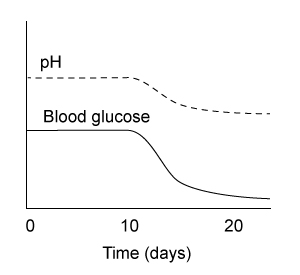 <strong>Passage The liver plays a central role in maintaining blood glucose homoeostasis.  It contains the highest concentration of glycogen of any organ in the body and is one of few organs that can regenerate glucose from metabolic byproducts.  The liver can replenish glucose in muscle and brain tissue during times of fasting, and it can help prevent lactate accumulation during intense physical activity.Von Gierke disease is a rare autosomal recessive disorder that arises from inactivating mutations in the liver enzyme glucose 6-phosphatase (G6Pase).  It affects roughly 1 in 100,000 individuals, and the resulting loss of both hormonal sensitivity and enzymatic activity leads to hypoglycemia (low blood sugar).  Von Gierke can also cause an increase in blood acidity concurrent with lactate build-up.  Patients typically become symptomatic shortly after birth with convulsions, hyperventilation, and tremors.  Left untreated, patients may develop gout, osteoporosis, and life-threatening complications such as kidney failure and liver tumors.In an effort to examine the biochemical consequences of this disorder, scientists generated a genetically engineered mouse model with liver G6Pase expression under the control of the Tet-Off system at both alleles.  Under this system, addition of the small molecule tetracycline in the water source of the mouse rapidly shuts off G6Pase gene expression and therefore can recapitulate von Gierke disease.  Blood glucose and pH levels were measured daily in two groups of genetically engineered mice over 20 days: group A mice received no tetracycline and group B mice were given tetracycline starting at day 10.  All mice were fed identical low-sugar diets throughout the experiment. Adapted from Froissart R, Piraud M, Boudjemline AM, et al. Glucose-6-phosphatase deficiency. Orphanet J Rare Dis. 2011;6:27. Which of the following graphs best reflects the expected average blood glucose and pH levels over time for group B mice?</strong> A)   B)   C)   D)   <div style=padding-top: 35px> 