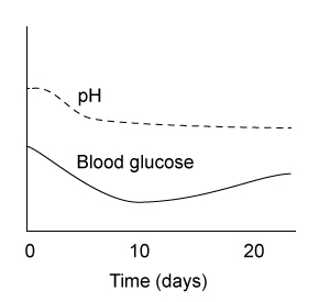 <strong>Passage The liver plays a central role in maintaining blood glucose homoeostasis.  It contains the highest concentration of glycogen of any organ in the body and is one of few organs that can regenerate glucose from metabolic byproducts.  The liver can replenish glucose in muscle and brain tissue during times of fasting, and it can help prevent lactate accumulation during intense physical activity.Von Gierke disease is a rare autosomal recessive disorder that arises from inactivating mutations in the liver enzyme glucose 6-phosphatase (G6Pase).  It affects roughly 1 in 100,000 individuals, and the resulting loss of both hormonal sensitivity and enzymatic activity leads to hypoglycemia (low blood sugar).  Von Gierke can also cause an increase in blood acidity concurrent with lactate build-up.  Patients typically become symptomatic shortly after birth with convulsions, hyperventilation, and tremors.  Left untreated, patients may develop gout, osteoporosis, and life-threatening complications such as kidney failure and liver tumors.In an effort to examine the biochemical consequences of this disorder, scientists generated a genetically engineered mouse model with liver G6Pase expression under the control of the Tet-Off system at both alleles.  Under this system, addition of the small molecule tetracycline in the water source of the mouse rapidly shuts off G6Pase gene expression and therefore can recapitulate von Gierke disease.  Blood glucose and pH levels were measured daily in two groups of genetically engineered mice over 20 days: group A mice received no tetracycline and group B mice were given tetracycline starting at day 10.  All mice were fed identical low-sugar diets throughout the experiment. Adapted from Froissart R, Piraud M, Boudjemline AM, et al. Glucose-6-phosphatase deficiency. Orphanet J Rare Dis. 2011;6:27. Which of the following graphs best reflects the expected average blood glucose and pH levels over time for group B mice?</strong> A)   B)   C)   D)   <div style=padding-top: 35px> 