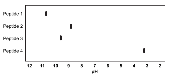 <strong>Passage Antimicrobial peptides are an important component of innate immunity.  Since their discovery in 1939, over 5,000 peptides with antimicrobial properties have been isolated from organisms in every domain of life.  They have demonstrated activity against enveloped viruses, bacteria, fungi, and even tumor cells and have recently gained interest for their potential in fighting antibiotic-resistant bacteria.  Most known antimicrobial peptides are positively charged, but some with negative charges have also been discovered.Frogs are known to secrete a variety of antimicrobial peptides as a major source of immunity.  Secretions from a new species of frog were collected and the peptides were separated by cation exchange chromatography.  Four of the isolated peptides demonstrated strong antibacterial activity and were characterized by isoelectric focusing and sequencing:   <strong>Figure 1</strong>  Results of isoelectric focusing of four antimicrobial peptides<strong>Table 1</strong>  Amino Acid Compositions of Four Antimicrobial Peptides   Adapted from Wang Z, Wang G. APD: the Antimicrobial Peptide Database. Nucleic Acids Res. 2004;32(Database issue):D590-2. One of the challenges of antimicrobial peptides is their short physiological half-life.  To solve this problem, some researchers have begun investigating synthetic antimicrobial peptides composed of D-amino acids.  Why might these peptides have an increased half-life in the body relative to natural antimicrobial peptides?</strong> A)Proteases cannot act on peptides made of D-amino acids. B)D-amino acids are more soluble at physiological pH. C)Peptide bonds between D-amino acids require more energy to break. D)Hydrolysis of D-peptides is catalyzed by acids instead of bases. <div style=padding-top: 35px> 