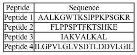 <strong>Passage Antimicrobial peptides are an important component of innate immunity.  Since their discovery in 1939, over 5,000 peptides with antimicrobial properties have been isolated from organisms in every domain of life.  They have demonstrated activity against enveloped viruses, bacteria, fungi, and even tumor cells and have recently gained interest for their potential in fighting antibiotic-resistant bacteria.  Most known antimicrobial peptides are positively charged, but some with negative charges have also been discovered.Frogs are known to secrete a variety of antimicrobial peptides as a major source of immunity.  Secretions from a new species of frog were collected and the peptides were separated by cation exchange chromatography.  Four of the isolated peptides demonstrated strong antibacterial activity and were characterized by isoelectric focusing and sequencing:   <strong>Figure 1</strong>  Results of isoelectric focusing of four antimicrobial peptides<strong>Table 1</strong>  Amino Acid Compositions of Four Antimicrobial Peptides   Adapted from Wang Z, Wang G. APD: the Antimicrobial Peptide Database. Nucleic Acids Res. 2004;32(Database issue):D590-2. One of the challenges of antimicrobial peptides is their short physiological half-life.  To solve this problem, some researchers have begun investigating synthetic antimicrobial peptides composed of D-amino acids.  Why might these peptides have an increased half-life in the body relative to natural antimicrobial peptides?</strong> A)Proteases cannot act on peptides made of D-amino acids. B)D-amino acids are more soluble at physiological pH. C)Peptide bonds between D-amino acids require more energy to break. D)Hydrolysis of D-peptides is catalyzed by acids instead of bases. <div style=padding-top: 35px> 