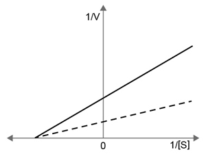 <strong>Interleukin-1β is a cytokine that upregulates the synthesis of PGE1, the final enzyme in the arachidonic acid pathway that generates prostaglandin E.  Which of the following plots most likely represents the change in the kinetics of prostaglandin E production in the absence (solid line) and presence (dashed line) of interleukin-1β?</strong> A)   B)   C)   D)   <div style=padding-top: 35px> 