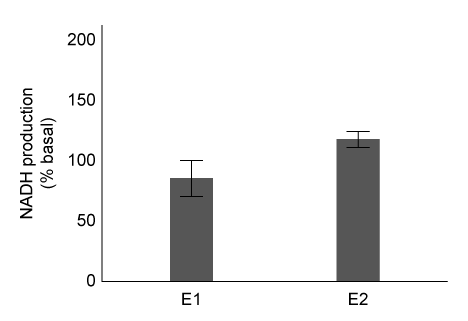 Passage Aldehyde dehydrogenase 2 (ALDH2)  is essential for the oxidation of toxic aldehydes, and uses NAD<sup>+</sup> as the oxidizing agent.  Mitochondrial ALDH2 exists as a 220-kD homotetrameric protein containing a catalytic, nucleotide-binding, and coenzyme-binding domain.  The most prevalent ALDH2 mutation (ALDH2*2)  involves an E to K (E478K)  substitution in the catalytic domain that leads to decreased enzymatic activity.Scientists hypothesize that Asian populations have higher rates of ALDH2*2 incidence.  The properties of ALDH2 variants in Caucasian and Japanese populations were analyzed in the following experiments.Experiment 1Mitochondrial extracts from both populations were combined in a single mixture and separated by native gel electrophoresis.  Proteins 210-230 kD in size were removed from the agarose gel and further isolated using affinity columns with antibodies designed to separate wild-type ALDH2 from ALDH2*2 by binding the catalytic domain of the wild-type but not the mutant protein.  Concentrated eluates E1 and E2 were produced by washing the affinity columns with buffers that remove unbound proteins and dislodge bound proteins from antibodies, respectively (Figure 1) .    <strong>Figure 1</strong>  Purification of ALDH2 proteinsALDH2 activity in each eluate was quantified by adding acetaldehyde and NAD<sup>+</sup>, and then monitoring the rate of NADH production.  The results are shown in Figure 2.    <strong>Figure 2</strong>  Enzymatic activity of E1 and E2 eluatesExperiment 2Researchers predict that mutations at conserved amino acid sites containing S or T may prevent ALDH2 from being phosphorylated by protein kinase C epsilon (εPKC) .  The activity of wild-type ALDH2 (WT)  and ALDH2 mutants with substitutions at positions T185 and S279 in the presence or absence of εPKC are summarized in Table 1.<strong>Table 1</strong>  Effect of εPKC on ALDH2 Variants    Adapted from Chen CH, Ferreira JC, Gross ER, Mochly-rosen D. Targeting aldehyde dehydrogenase 2: new therapeutic opportunities. Physiol Rev. 2014;94(1) :1-34. -Scientists could confirm that Asian populations have higher rates of ALDH2*2 mutations if they discovered which of the following? A) The proteins in E2 were exclusively from Asian samples. B) None of the proteins in E1 were from Caucasian samples. C) Only WT-ALDH2 proteins were eluted from the affinity column. D) ALDH2*2 proteins were eluted first from the affinity column.