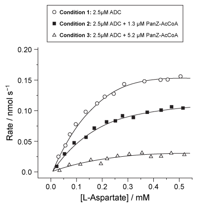 Passage Synthesis of coenzyme A (CoA)  requires vitamin B<sub>5</sub> as a substrate.  In bacteria, vitamin B<sub>5</sub> is synthesized by condensation of β-alanine and pantoic acid.  β-alanine is produced by decarboxylation of L-aspartate, mediated by the enzyme aspartate α-decarboxylase (ADC) .  Active ADC is formed when its inactive precursor, PanD, binds to a regulatory complex composed of acetyl coenzyme A (AcCoA)  and a protein known as PanZ.  Formation of the PanD-PanZ-AcCoA complex causes the activation loop of PanD to fold into a β-pleated sheet, resulting in PanD autocleavage.  Researchers hypothesize that this conformational change allows the Thr57 residue to cleave the N-terminal end of PanD to form ADC.The limited information on the role of PanZ in the synthesis of CoA has stimulated an investigation of its effect on ADC activity.  Escherichia coli cells were provided with varying concentrations of PanZ, and the rate of β-alanine production was measured in three different conditions (Figure 1) .  Reaction vessels were maintained at pH 6 to ensure optimal decarboxylation activity.    <strong>Figure 1</strong>  Catalytic activity of ADC in E. coli with increasing concentrations of L-aspartate Adapted from Monteiro DC, Patel V, Bartlett CP, et al. The structure of the PanD/PanZ protein complex reveals negative feedback regulation of pantothenate biosynthesis by coenzyme A. Chem Biol. 2015;22(4) :492-503. -Which of the following best describes the ADC activation mechanism? A) AcCoA binds to the PanD-PanZ complex to induce cleavage. B) PanD, PanZ, and AcCoA bind in a random order to form a ternary complex. C) A binary complex composed of PanD and AcCoA cleaves PanZ. D) PanZ binds AcCoA followed by PanD to form a ternary complex.
