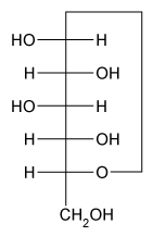 Which of the following structures represents the Fischer projection of a β-D-glucose unit found in cellulose? A) B) C) D)