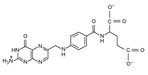 Which of the following molecules could participate in cell signaling without a second messenger? A) B) C) D)