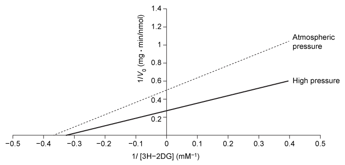 Passage Diabetic nephropathy (kidney disease)  is characterized in part by a significant decrease in the glomerular filtration rate.  Podocytes are differentiated cells that surround the glomerular capillaries and counteract the pressure of blood filtration.  Hyperglycemia (elevated blood glucose)  and capillary hypertension (high blood pressure) , both of which are common in diabetic patients, can subject podocytes to mechanical stress.  This mechanical stress has been shown to regulate glucose uptake by podocytes, possibly by altering the production of glucose transport (GLUT)  proteins.Researchers investigating GLUT2 and GLUT4 expression in rat podocytes measured the impact of mechanical stress on glucose uptake.  Cells were grown for 4 hours on membranes exposed to atmospheric (atm)  or high air pressure (HP)  to mimic mechanical stress.  Antibodies specific to GLUT2 and GLUT4 were used to visualize the expression of each under normal glucose (NG)  and hyperglycemic (HG)  conditions, and to assess the effect of mechanical stress on expression.  The uptake of a radiolabeled glucose analogue, [<sup>3</sup>H]-2-deoxy-D-glucose (3H-2DG) , was then determined.  The quantity of 3H-2DG transported by each GLUT protein was directly proportional to the cell surface expression.    <strong>Figure 1</strong>  Cell surface expression of GLUT transporters in response to mechanical stress and varying glucose concentration.In vivo studies have shown that transport via GLUT2 is noninducible and depends only on extracellular glucose concentrations.  However, GLUT4-mediated uptake is induced by insulin binding and occurs under high glucose conditions when insulin is released.  The standard K<sub>m</sub> values for GLUT2 and GLUT4 are 19.4 and 4.3 mM, respectively, at normal blood glucose levels after a meal (~7.8 mM) .  The data shown in Figure 2 represent the combined kinetic properties of both transporters.    <strong>Figure 2</strong>  Plot of glucose uptake in podocytes with and without mechanical stress. Adapted from Lewko, B., Bryl, E., Witkowski, J. M., Latawiec, E., Angielski, S., & Stepinski, J. (2005) . Mechanical stress and glucose concentration modulate glucose transport in cultured rat podocytes. Nephrology Dialysis Transplantation, 20(2) , 306-311. -Which statement about glucose transport under physiological conditions is consistent with the kinetic data provided in the passage? A) GLUT2-mediated uptake is a first-order process. B) ATP is required for glucose uptake by both GLUT transporters. C) In the fed state, glucose concentration limits GLUT4-mediated uptake. D) Glucose transport is independent of the concentration gradient.