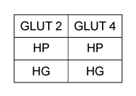 Passage Diabetic nephropathy (kidney disease)  is characterized in part by a significant decrease in the glomerular filtration rate.  Podocytes are differentiated cells that surround the glomerular capillaries and counteract the pressure of blood filtration.  Hyperglycemia (elevated blood glucose)  and capillary hypertension (high blood pressure) , both of which are common in diabetic patients, can subject podocytes to mechanical stress.  This mechanical stress has been shown to regulate glucose uptake by podocytes, possibly by altering the production of glucose transport (GLUT)  proteins.Researchers investigating GLUT2 and GLUT4 expression in rat podocytes measured the impact of mechanical stress on glucose uptake.  Cells were grown for 4 hours on membranes exposed to atmospheric (atm)  or high air pressure (HP)  to mimic mechanical stress.  Antibodies specific to GLUT2 and GLUT4 were used to visualize the expression of each under normal glucose (NG)  and hyperglycemic (HG)  conditions, and to assess the effect of mechanical stress on expression.  The uptake of a radiolabeled glucose analogue, [<sup>3</sup>H]-2-deoxy-D-glucose (3H-2DG) , was then determined.  The quantity of 3H-2DG transported by each GLUT protein was directly proportional to the cell surface expression.    <strong>Figure 1</strong>  Cell surface expression of GLUT transporters in response to mechanical stress and varying glucose concentration.In vivo studies have shown that transport via GLUT2 is noninducible and depends only on extracellular glucose concentrations.  However, GLUT4-mediated uptake is induced by insulin binding and occurs under high glucose conditions when insulin is released.  The standard K<sub>m</sub> values for GLUT2 and GLUT4 are 19.4 and 4.3 mM, respectively, at normal blood glucose levels after a meal (~7.8 mM) .  The data shown in Figure 2 represent the combined kinetic properties of both transporters.    <strong>Figure 2</strong>  Plot of glucose uptake in podocytes with and without mechanical stress. Adapted from Lewko, B., Bryl, E., Witkowski, J. M., Latawiec, E., Angielski, S., & Stepinski, J. (2005) . Mechanical stress and glucose concentration modulate glucose transport in cultured rat podocytes. Nephrology Dialysis Transplantation, 20(2) , 306-311. -Based on the data in Figure 1, which experimental conditions will generate the highest maximum velocity for each transporter? A)    B)    C)    D)   