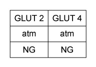 Passage Diabetic nephropathy (kidney disease)  is characterized in part by a significant decrease in the glomerular filtration rate.  Podocytes are differentiated cells that surround the glomerular capillaries and counteract the pressure of blood filtration.  Hyperglycemia (elevated blood glucose)  and capillary hypertension (high blood pressure) , both of which are common in diabetic patients, can subject podocytes to mechanical stress.  This mechanical stress has been shown to regulate glucose uptake by podocytes, possibly by altering the production of glucose transport (GLUT)  proteins.Researchers investigating GLUT2 and GLUT4 expression in rat podocytes measured the impact of mechanical stress on glucose uptake.  Cells were grown for 4 hours on membranes exposed to atmospheric (atm)  or high air pressure (HP)  to mimic mechanical stress.  Antibodies specific to GLUT2 and GLUT4 were used to visualize the expression of each under normal glucose (NG)  and hyperglycemic (HG)  conditions, and to assess the effect of mechanical stress on expression.  The uptake of a radiolabeled glucose analogue, [<sup>3</sup>H]-2-deoxy-D-glucose (3H-2DG) , was then determined.  The quantity of 3H-2DG transported by each GLUT protein was directly proportional to the cell surface expression.    <strong>Figure 1</strong>  Cell surface expression of GLUT transporters in response to mechanical stress and varying glucose concentration.In vivo studies have shown that transport via GLUT2 is noninducible and depends only on extracellular glucose concentrations.  However, GLUT4-mediated uptake is induced by insulin binding and occurs under high glucose conditions when insulin is released.  The standard K<sub>m</sub> values for GLUT2 and GLUT4 are 19.4 and 4.3 mM, respectively, at normal blood glucose levels after a meal (~7.8 mM) .  The data shown in Figure 2 represent the combined kinetic properties of both transporters.    <strong>Figure 2</strong>  Plot of glucose uptake in podocytes with and without mechanical stress. Adapted from Lewko, B., Bryl, E., Witkowski, J. M., Latawiec, E., Angielski, S., & Stepinski, J. (2005) . Mechanical stress and glucose concentration modulate glucose transport in cultured rat podocytes. Nephrology Dialysis Transplantation, 20(2) , 306-311. -Based on the data in Figure 1, which experimental conditions will generate the highest maximum velocity for each transporter? A)    B)    C)    D)   