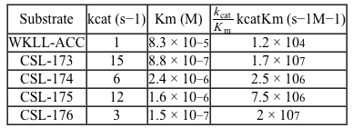 Passage The recent advent of multidrug-resistant Mycobacterium tuberculosis (Mtb)  has led to the search for novel agents to combat tuberculosis.  Mtb secretes over 70 serine proteases that may be used as viable drug targets.  Hydrolase important for pathogenesis 1 (Hip1)  is a serine protease found in Mtb with proteolytic activity that is required for dampening the host inflammatory response.  Given the role of Hip1 in Mtb virulence, analyzing Hip1 substrate specificity is a critical step in designing selective inhibitors for effective tuberculosis treatment.Fluorogenic substrates are nonfluorescent compounds that release a fluorescent reporter group when acted upon by an enzyme.  Such substrates are useful biomolecular imaging tools that allow monitoring of enzymatic activity in vitro and in vivo.  A large library of peptides was screened against Hip1, and enzymatic cleavage was analyzed using mass spectrometry to facilitate the design of fluorogenic substrates (Figure 1) .    <strong>Figure 1</strong>  Schematic design of Hip1 fluorogenic substrates.  P1, P2, P3, and P4 in Group 1 represent the positions of variable amino acids in the peptide.  Group 2 depicts the fluorescent compound released on Hip1 cleavage.Researchers reported Michaelis-Menten kinetic parameters for substrates from two peptide families: the WKLL substrates and the CSL substrates.<strong>Table 1</strong>  Kinetic Parameters of Fluorogenic Substrates for Mtb Hip1    Adapted from Lentz CS, Ordonez AA, Kasperkiewicz P, et al. Design of Selective Substrates and Activity-Based Probes for Hydrolase Important for Pathogenesis 1 (HIP1)  from Mycobacterium tuberculosis. ACS Infect Dis. 2016;2(11) :807-815. -Assuming that product formation is the rate-limiting step for all substrates, which of the following statements regarding the formation of the Hip1 enzyme-substrate (ES)  complex is correct? A) WKLL-ACC forms a stronger ES complex than CSL-175. B) CSL-174 forms a stronger ES complex than WKLL-ACC. C) CSL-176 forms a weaker ES complex than CSL-175. D) CSL-175 forms a weaker ES complex than CSL-174.