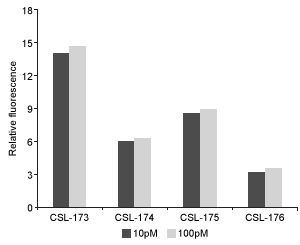 Passage The recent advent of multidrug-resistant Mycobacterium tuberculosis (Mtb) has led to the search for novel agents to combat tuberculosis. Mtb secretes over 70 serine proteases that may be used as viable drug targets. Hydrolase important for pathogenesis 1 (Hip1) is a serine protease found in Mtb with proteolytic activity that is required for dampening the host inflammatory response. Given the role of Hip1 in Mtb virulence, analyzing Hip1 substrate specificity is a critical step in designing selective inhibitors for effective tuberculosis treatment.Fluorogenic substrates are nonfluorescent compounds that release a fluorescent reporter group when acted upon by an enzyme. Such substrates are useful biomolecular imaging tools that allow monitoring of enzymatic activity in vitro and in vivo. A large library of peptides was screened against Hip1, and enzymatic cleavage was analyzed using mass spectrometry to facilitate the design of fluorogenic substrates (Figure 1) . <strong>Figure 1</strong> Schematic design of Hip1 fluorogenic substrates. P1, P2, P3, and P4 in Group 1 represent the positions of variable amino acids in the peptide. Group 2 depicts the fluorescent compound released on Hip1 cleavage.Researchers reported Michaelis-Menten kinetic parameters for substrates from two peptide families: the WKLL substrates and the CSL substrates.<strong>Table 1</strong> Kinetic Parameters of Fluorogenic Substrates for Mtb Hip1 Adapted from Lentz CS, Ordonez AA, Kasperkiewicz P, et al. Design of Selective Substrates and Activity-Based Probes for Hydrolase Important for Pathogenesis 1 (HIP1) from Mycobacterium tuberculosis. ACS Infect Dis. 2016;2(11) :807-815. -The CSL substrates from Table 1 were tested in vitro at saturating substrate concentration in solutions containing 10 pM or 100 pM Hip1 enzyme. The relative fluorescence of these substrates was then measured. Which of the following graphs best reflects the expected results? A) B) C) D)