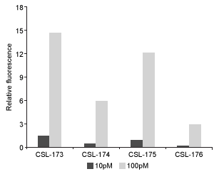 Passage The recent advent of multidrug-resistant Mycobacterium tuberculosis (Mtb) has led to the search for novel agents to combat tuberculosis. Mtb secretes over 70 serine proteases that may be used as viable drug targets. Hydrolase important for pathogenesis 1 (Hip1) is a serine protease found in Mtb with proteolytic activity that is required for dampening the host inflammatory response. Given the role of Hip1 in Mtb virulence, analyzing Hip1 substrate specificity is a critical step in designing selective inhibitors for effective tuberculosis treatment.Fluorogenic substrates are nonfluorescent compounds that release a fluorescent reporter group when acted upon by an enzyme. Such substrates are useful biomolecular imaging tools that allow monitoring of enzymatic activity in vitro and in vivo. A large library of peptides was screened against Hip1, and enzymatic cleavage was analyzed using mass spectrometry to facilitate the design of fluorogenic substrates (Figure 1) . <strong>Figure 1</strong> Schematic design of Hip1 fluorogenic substrates. P1, P2, P3, and P4 in Group 1 represent the positions of variable amino acids in the peptide. Group 2 depicts the fluorescent compound released on Hip1 cleavage.Researchers reported Michaelis-Menten kinetic parameters for substrates from two peptide families: the WKLL substrates and the CSL substrates.<strong>Table 1</strong> Kinetic Parameters of Fluorogenic Substrates for Mtb Hip1 Adapted from Lentz CS, Ordonez AA, Kasperkiewicz P, et al. Design of Selective Substrates and Activity-Based Probes for Hydrolase Important for Pathogenesis 1 (HIP1) from Mycobacterium tuberculosis. ACS Infect Dis. 2016;2(11) :807-815. -The CSL substrates from Table 1 were tested in vitro at saturating substrate concentration in solutions containing 10 pM or 100 pM Hip1 enzyme. The relative fluorescence of these substrates was then measured. Which of the following graphs best reflects the expected results? A) B) C) D)