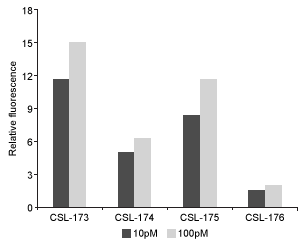 Passage The recent advent of multidrug-resistant Mycobacterium tuberculosis (Mtb) has led to the search for novel agents to combat tuberculosis. Mtb secretes over 70 serine proteases that may be used as viable drug targets. Hydrolase important for pathogenesis 1 (Hip1) is a serine protease found in Mtb with proteolytic activity that is required for dampening the host inflammatory response. Given the role of Hip1 in Mtb virulence, analyzing Hip1 substrate specificity is a critical step in designing selective inhibitors for effective tuberculosis treatment.Fluorogenic substrates are nonfluorescent compounds that release a fluorescent reporter group when acted upon by an enzyme. Such substrates are useful biomolecular imaging tools that allow monitoring of enzymatic activity in vitro and in vivo. A large library of peptides was screened against Hip1, and enzymatic cleavage was analyzed using mass spectrometry to facilitate the design of fluorogenic substrates (Figure 1) . <strong>Figure 1</strong> Schematic design of Hip1 fluorogenic substrates. P1, P2, P3, and P4 in Group 1 represent the positions of variable amino acids in the peptide. Group 2 depicts the fluorescent compound released on Hip1 cleavage.Researchers reported Michaelis-Menten kinetic parameters for substrates from two peptide families: the WKLL substrates and the CSL substrates.<strong>Table 1</strong> Kinetic Parameters of Fluorogenic Substrates for Mtb Hip1 Adapted from Lentz CS, Ordonez AA, Kasperkiewicz P, et al. Design of Selective Substrates and Activity-Based Probes for Hydrolase Important for Pathogenesis 1 (HIP1) from Mycobacterium tuberculosis. ACS Infect Dis. 2016;2(11) :807-815. -The CSL substrates from Table 1 were tested in vitro at saturating substrate concentration in solutions containing 10 pM or 100 pM Hip1 enzyme. The relative fluorescence of these substrates was then measured. Which of the following graphs best reflects the expected results? A) B) C) D)