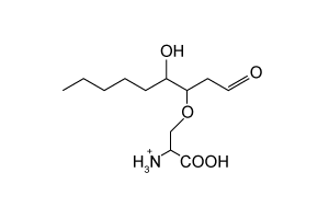 4-hydroxy-2-nonenal (4HNE) , shown below, interacts with proteins by forming covalent bonds with the nucleophilic side chains of amino acids.  If a protein were incubated with 4HNE and then degraded by proteases, which of the following could represent the structure and charge of an amino acid bound to 4HNE at pH 7?   A)    B)    C)    D)   