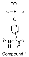 Passage Leukocyte common antigen (LCA)  enzymes play several important developmental roles in both vertebrates and invertebrates.  They regulate numerous cellular processes by catalyzing Reaction 1 in target proteins at specific developmental stages.  Consequently, LCA enzyme expression and activity are tightly controlled in various cell types.    <strong>Reaction 1</strong>The Src protein is critical for cell differentiation and motility, and is activated by LCA enzyme activity.  Two LCA enzymes, known as LAR and CD45, were purified and incubated with the phosphopeptide src527 (Figure 1) , derived from Src.    <strong>Figure 1</strong>  Structure of the src527 peptide used as a substrate in LAR and CD45 assaysThe rate of Reaction 1 was measured at various concentrations of src527 in the presence of either LAR or CD45, and kinetic parameters were determined (Table 1) .<strong>Table 1</strong>  Kinetic Parameters of LAR and CD45    Compound <strong>1</strong> was synthesized and tested for its effectiveness as an inhibitor of LCA enzymes.    The study in Table 1 was repeated in the presence of Compound <strong>1</strong>, which was found to significantly reduce the activities of both LAR and CD45 against the src527 peptide.  Compound <strong>1</strong> was subsequently used in assays to examine the in vivo function of LCA enzymes. Adapted from Cho H, Krishnaraj R, Itoh M, et al. Substrate specificities of catalytic fragments of protein tyrosine phosphatases (HPTP beta, LAR, and CD45)  toward phosphotyrosylpeptide substrates and thiophosphotyrosylated peptides as inhibitors. Protein Sci. 1993;2(6) :977-84. -Compound <strong>1</strong> would most likely have what effect on the activity of LAR? A) It would bind to an allosteric site and decrease the K<sub>m</sub>. B) It would bind to the active site and decrease the V<sub>max</sub>. C) It would bind to an allosteric site and increase the V<sub>max</sub>. D) It would bind to the active site and increase the K<sub>m</sub>.