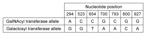 Passage The ABO blood groups are determined by the polysaccharide antigens linked to sphingolipids on red blood cell membranes.  The polysaccharide known as the H-antigen (O-type blood)  consists of a polysaccharide (R-group)  glycosidically linked to D-galactose, which is connected to L-fucose in an α-1,2 linkage.  Type A and type B blood express the A- and B-antigens, respectively (Figure 1) .  These antigens are modified forms of the H-antigen, in which D-galactose (B-antigen)  or a derivative of D-galactose called GalNAc (A-antigen)  is added in an α-1,3 linkage to the D-galactose moiety of the H-antigen.    <strong>Figure 1</strong>  Structures of the H-, A-, and B-antigens.  The R-group represents additional carbohydrates.The addition of GalNAc or galactose to the H-antigen is catalyzed by an enzyme encoded by the ABO gene.  One allele of the gene encodes GalNAcyl transferase and produces the A-antigen, while another allele encodes galactosyl-transferase and yields the B-antigen (Figure 1) .  The two alleles differ at seven nucleotide positions, summarized in Table 1.<strong>Table 1</strong>  Nucleotide Positions Where the Alleles Encoding GalNAcyl Transferase and Galactosyl Transferase Differ    Individuals with both alleles express both antigens and have type AB blood.  Those with type O blood have a third allele that encodes an inactive form of the enzyme.  A study of blood type abundance was conducted, and the number of participants with each type is shown in Table 2.  Table 3 shows several fatty-acyl chains found in the sphingolipids to which the antigens were attached.<strong>Table 2</strong>  Number of Participants That Express Each Blood Type in a Study of 10,000 Individuals    <strong>Table 3</strong>  Types of Sphingolipids to Which Polysaccharide Antigens Were Bound, as Determined by Mass Spectrometry (Note:  For fatty acid chains, the numbers on the left and right of the colon indicate number of carbons and number of C=C double bonds, respectively)     -Which lipid in Table 3 would make the greatest contribution to membrane fluidity? A) GL2 B) GL3 C) GL5 D) GL6