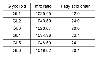 Passage The ABO blood groups are determined by the polysaccharide antigens linked to sphingolipids on red blood cell membranes.  The polysaccharide known as the H-antigen (O-type blood)  consists of a polysaccharide (R-group)  glycosidically linked to D-galactose, which is connected to L-fucose in an α-1,2 linkage.  Type A and type B blood express the A- and B-antigens, respectively (Figure 1) .  These antigens are modified forms of the H-antigen, in which D-galactose (B-antigen)  or a derivative of D-galactose called GalNAc (A-antigen)  is added in an α-1,3 linkage to the D-galactose moiety of the H-antigen.    <strong>Figure 1</strong>  Structures of the H-, A-, and B-antigens.  The R-group represents additional carbohydrates.The addition of GalNAc or galactose to the H-antigen is catalyzed by an enzyme encoded by the ABO gene.  One allele of the gene encodes GalNAcyl transferase and produces the A-antigen, while another allele encodes galactosyl-transferase and yields the B-antigen (Figure 1) .  The two alleles differ at seven nucleotide positions, summarized in Table 1.<strong>Table 1</strong>  Nucleotide Positions Where the Alleles Encoding GalNAcyl Transferase and Galactosyl Transferase Differ    Individuals with both alleles express both antigens and have type AB blood.  Those with type O blood have a third allele that encodes an inactive form of the enzyme.  A study of blood type abundance was conducted, and the number of participants with each type is shown in Table 2.  Table 3 shows several fatty-acyl chains found in the sphingolipids to which the antigens were attached.<strong>Table 2</strong>  Number of Participants That Express Each Blood Type in a Study of 10,000 Individuals    <strong>Table 3</strong>  Types of Sphingolipids to Which Polysaccharide Antigens Were Bound, as Determined by Mass Spectrometry (Note:  For fatty acid chains, the numbers on the left and right of the colon indicate number of carbons and number of C=C double bonds, respectively)     -Which lipid in Table 3 would make the greatest contribution to membrane fluidity? A) GL2 B) GL3 C) GL5 D) GL6