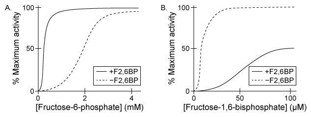 Passage Glycolysis and gluconeogenesis are tightly regulated, opposing metabolic pathways that help control blood glucose levels.  Glycolysis converts glucose to two pyruvate molecules, whereas gluconeogenesis consumes 6 ATP equivalents to convert two pyruvate molecules back to glucose.  When glycolysis is upregulated, gluconeogenesis is downregulated, and vice versa.As shown in Figure 1, glycolysis and gluconeogenesis in the liver are largely regulated by the allosteric action of the small molecule fructose-2,6-bisphosphate (F2,6BP)  on the enzymes phosphofructokinase-1 (PFK-1)  and fructose-1,6-bisphosphatase (F1,6BPase) .  PFK-1 is a kinase that uses ATP to phosphorylate fructose-6-phosphate (F6P)  in an irreversible step of glycolysis, forming fructose-1,6-bisphosphate (F1,6BP)  and ADP.  During gluconeogenesis, F1,6BPase removes the phosphate group by hydrolysis.    <strong>Figure 1</strong>  Activities of (A)  PFK-1 and (B)  F1,6BPase in the presence (solid lines)  and absence (dashed lines)  of F2,6BPA bifunctional enzyme that contains a phosphofructokinase-2 (PFK-2)  domain and a fructose-2,6-bisphosphatase (F2,6BPase)  domain controls F2,6BP levels in the liver.  The PFK-2 domain converts F6P to F2,6BP, and the F2,6BPase domain converts F2,6BP back to F6P.  When blood glucose levels are low, the enzyme becomes phosphorylated.  This phosphorylation event simultaneously activates the F2,6BPase domain and inactivates the PFK-2 domain.  Under high blood glucose conditions, the enzyme becomes dephosphorylated, activating the PFK-2 domain and inactivating the F2,6BPase domain. -All of the following statements about PFK-1 and F1,6BP are correct EXCEPT: A) PFK-1 cooperatively converts F6P to F1,6BP. B) F1,6BPase cooperatively converts F1,6BP to F6P. C) Both PFK-1 and F1,6BPase have multiple active sites for catalysis. D) F1,6BPase catalyzes the reverse reaction of PFK-1 to regenerate ATP.