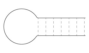 Certain RNA molecules can fold into structures known as hairpins, as depicted below.   Which of the following RNA hairpins is the most stable? A)    B)    C)    D)   