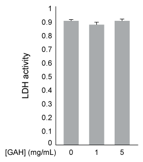 Passage Oxidative stress occurs in cells when reactive oxygen species (ROS)  such as H<sub>2</sub>O<sub>2</sub>, superoxide (O<sub>2</sub><sup>−</sup>) , and hydroxyl radicals (<sup>•</sup>OH)  interact destructively with biological molecules.  Several studies have indicated that histidine and certain peptides that contain histidine can decrease oxidative stress.A common marker of oxidative stress in cells is leakage of the enzyme lactate dehydrogenase (LDH)  into the extracellular space.  Researchers incubated cultured rat cells (PC12 cells)  with H<sub>2</sub>O<sub>2</sub> in the presence of different tripeptides, each containing one alanine, one glycine, and one histidine residue.  Every possible sequence was tested, but the researchers found that the sequence GAH was the most effective in limiting extracellular LDH activity.  After obtaining these preliminary results, the following experiments were conducted.Experiment 1PC12 cells were incubated with or without 5 mM H<sub>2</sub>O<sub>2</sub> and with varying concentrations of GAH for 4 hours.  Cells were centrifuged, and the supernatant (ie, extracellular material)  was extracted and assayed for LDH activity (Figure 1) .    <strong>Figure 1</strong>  Extracellular LDH activity from PC12 cells exposed to H<sub>2</sub>O<sub>2</sub> and varying concentrations of GAH.  p-values are relative to 5 mM H<sub>2</sub>O<sub>2</sub> and 0 mg/mL GAH.Experiment 2LDH was purified and assayed for activity in the presence of 5 mM H<sub>2</sub>O<sub>2</sub> and varying concentrations of GAH (Figure 2) .    <strong>Figure 2</strong>  Activity of purified LDH with varying concentrations of GAHExperiment 3PC12 cells were incubated with or without 5 mM H<sub>2</sub>O<sub>2</sub> in the presence and absence of 1 mg/mL GAH.  Cells were then stained with the fluorescent marker TUNEL, which binds strongly to apoptotic cells.  The percentage of apoptotic cells in each condition is shown in Figure 3.    <strong>Figure 3</strong>  Percentage of apoptotic cells in the presence or absence of H<sub>2</sub>O<sub>2</sub> and GAH -The side chain of the C-terminal amino acid residue in GAH is derived from which structure? A)    B)    C)    D)   