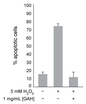 Passage Oxidative stress occurs in cells when reactive oxygen species (ROS)  such as H<sub>2</sub>O<sub>2</sub>, superoxide (O<sub>2</sub><sup>−</sup>) , and hydroxyl radicals (<sup>•</sup>OH)  interact destructively with biological molecules.  Several studies have indicated that histidine and certain peptides that contain histidine can decrease oxidative stress.A common marker of oxidative stress in cells is leakage of the enzyme lactate dehydrogenase (LDH)  into the extracellular space.  Researchers incubated cultured rat cells (PC12 cells)  with H<sub>2</sub>O<sub>2</sub> in the presence of different tripeptides, each containing one alanine, one glycine, and one histidine residue.  Every possible sequence was tested, but the researchers found that the sequence GAH was the most effective in limiting extracellular LDH activity.  After obtaining these preliminary results, the following experiments were conducted.Experiment 1PC12 cells were incubated with or without 5 mM H<sub>2</sub>O<sub>2</sub> and with varying concentrations of GAH for 4 hours.  Cells were centrifuged, and the supernatant (ie, extracellular material)  was extracted and assayed for LDH activity (Figure 1) .    <strong>Figure 1</strong>  Extracellular LDH activity from PC12 cells exposed to H<sub>2</sub>O<sub>2</sub> and varying concentrations of GAH.  p-values are relative to 5 mM H<sub>2</sub>O<sub>2</sub> and 0 mg/mL GAH.Experiment 2LDH was purified and assayed for activity in the presence of 5 mM H<sub>2</sub>O<sub>2</sub> and varying concentrations of GAH (Figure 2) .    <strong>Figure 2</strong>  Activity of purified LDH with varying concentrations of GAHExperiment 3PC12 cells were incubated with or without 5 mM H<sub>2</sub>O<sub>2</sub> in the presence and absence of 1 mg/mL GAH.  Cells were then stained with the fluorescent marker TUNEL, which binds strongly to apoptotic cells.  The percentage of apoptotic cells in each condition is shown in Figure 3.    <strong>Figure 3</strong>  Percentage of apoptotic cells in the presence or absence of H<sub>2</sub>O<sub>2</sub> and GAH -The side chain of the C-terminal amino acid residue in GAH is derived from which structure? A)    B)    C)    D)   
