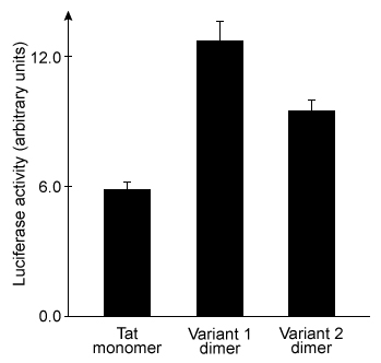 Passage The HIV-derived transactivator of transcription (Tat)  is a short peptide with the sequence RKKRRQRRRPPQ.  When paired with liposomes (ie, synthetic vesicles)  composed of cationic lipids, Tat can transport large molecules across cell membranes and has been studied as a vector for gene therapy.  However, Tat delivers cargo to cells with relatively low efficiency.  Researchers hypothesized that a Tat homodimer could yield stronger DNA binding than the monomer, which may improve the efficiency of DNA delivery.To study this hypothesis, Tat and two variant peptides (Variants 1 and 2)  were produced by solid-phase peptide synthesis, in which the growing peptide chain is immobilized on polystyrene beads.  Unlike biological systems, solid-phase synthesis assembles peptides from the C-terminus to the N-terminus, as shown in Figure 1.    <strong>Figure 1</strong>  Simplified schematic of one round of solid-phase peptide synthesis.  The protecting group is removed during deprotection.  The process is repeated until the peptide is complete.Variants 1 and 2 contained a C-terminal and an N-terminal cysteine residue, respectively.  Each variant was allowed to dimerize by disulfide bond formation.  Peptide-DNA binding interactions were then studied by mixing varying amounts of each peptide with plasmid DNA encoding luciferase protein (pLuc) .  The resulting peptide-DNA complexes were run on agarose gels, with results displayed in Figure 2.    <strong>Figure 2</strong>  Agarose gel results for pLuc plasmid exposed to varying amounts of each peptideEqual concentrations of each type of peptide-DNA complex were then incubated with cationic liposomes and exposed to cultured cells for 24 hours.  The cells were then assessed for luciferase activity.  Greater luciferase activity indicated more efficient delivery of the pLuc plasmid.  The results are shown in Figure 3.    <strong>Figure 3</strong>  Plasmid delivery efficiency of three peptides, as measured by induced luciferase activity Adapted from Lee S-J, Yoon S-H, Doh K-O. Enhancement of gene delivery using novel homodimeric tat peptide formed by disulfide bond. J Microbiol Biotechnol. 2011;21(8) :802-807. -The addition of which reagent would result in the greatest amount of dimerization of the Tat variants? A) A strong acid such as HCl B) A strong base such as NaOH C) A reducing agent such as dithiothreitol D) An oxidizing agent such as oxygen gas