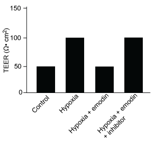 <strong>Passage The lumen of the human gut is lined by a monolayer of epithelial cells that acts as a selectively permeable barrier, preventing the passage of harmful intraluminal foreign antigens, flora, and toxins into the circulation while allowing digestion and absorption of essential dietary nutrients along with the transfer of electrolytes and water.Proteins in the tight junctions of intestinal epithelial cells maintain barrier integrity, but barrier dysfunction occurs when these cells are damaged in the setting of infection, burns, shock, or hypoxia (low oxygen levels).  The transcription factor HIF-1, a heterodimer composed of the macromolecules HIF-1α and HIF-1β, regulates the adaptive cellular response to hypoxia and the consequent expression of tight junction proteins.Researchers assessed the concentration of HIF-1 heterodimer components in human intestinal Caco-2 cells subjected to hypoxia/reoxygenation (H/R) in vitro.  Caco-2 cells, a colon-derived cell line, were cultured under specific conditions to mimic the functional and morphological phenotype of wild-type enterocytes lining the small intestine.  These cells were prepared and grown as a monolayer on a collagen-coated membrane.Next, the monolayer was cultured in hypoxic conditions and then exposed to atmospheric oxygen levels (normoxia) for 30, 60, and 120 minutes.  Protein levels were quantified using direct enzyme-linked immunosorbent assay (ELISA), in which an antibody linked to a reporter enzyme was utilized to bind and detect expression of the target molecule (analyte) in a sample.  When the colorless substrate of the reporter enzyme was added, the enzyme generated a visible colored product that could be quantified based on color intensity.   <strong>Figure 1</strong>  Concentration of (A) HIF-1α and (B) HIF-1β in Caco-2 cells subjected to H/R (Note:  0 minutes = cells cultured in hypoxic conditions)Emodin, an anthraquinone compound that prevents hypoxia-induced epithelial cell disruption, was used in conjunction with a chemical HIF-1α inhibitor (HIF-1α-I) to treat Caco-2 cells in a separate experiment.  Transepithelial electrical resistance (TEER) was assessed as a measure of barrier function, with higher TEER values indicating a more intact epithelial cell barrier.  HIF-1α-I was found to block emodin's protective effect on epithelial barrier integrity. Adapted from Lei Q, Qiang F, Chao D, et al. Int J Mol Med. 2014;34(6):1629-39. Which graphic depicts the most likely effect of the HIF-1α inhibitor on emodin?  (Note: control = cells cultured under normoxic conditions.)</strong> A)   B)   C)   D)   <div style=padding-top: 35px> 