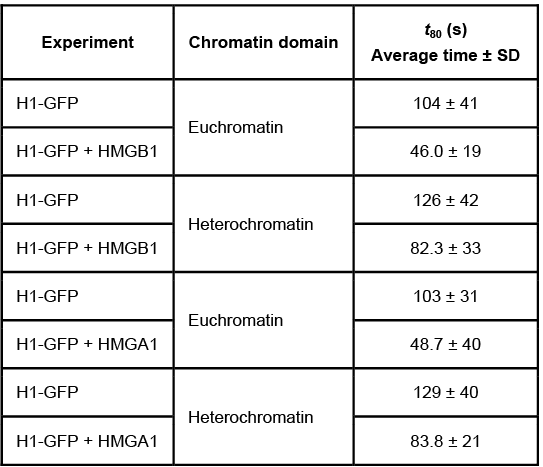 <strong>Passage Quantitative fluorescence recovery after photobleaching (FRAP) is used to study the movement of molecules in live cells.  During FRAP, the fluorescence of a green fluorescent protein (GFP)-tagged molecule is first measured and then photodestroyed in targeted cell regions.  Researchers then assess the time course for fluorescence recovery, which is an indicator of molecular mobility of the GFP-tagged protein into the photodestroyed region.  The average time required to recover 80% of the pre-bleach fluorescence of protein histone 1 (H1) fused to GFP (H1-GFP) in the photodestroyed region is given as t80.FRAP was used to analyze the mobility of the architectural H1 alone and in the presence of high-mobility group (HMG) proteins.  HMG proteins are dynamic modifiers that have been shown to have opposite effects but similar binding sites on chromatin structure.   <strong>Figure 1</strong>  Unique chromatin binding motifs of HMG proteinsDuring analysis, HMGA1 and HMGB1 were microinjected into the cytoplasm of mouse embryonic fibroblast cells expressing H1-GFP.  FRAP was performed on euchromatin and heterochromatin.  Euchromatin and heterochromatin domains were identified as regions weakly and strongly stained by H1-GFP, respectively.  The relative intensity of H1-GFP fluorescence in euchromatin and heterochromatin of uninjected and injected cells was assessed, and t80 results are shown in Table 1.<strong>Table 1</strong>  Effect of HMGB1 and HMGA1 on H1-GFP Mobility   Adapted from Catez F, Yang H, Tracey KJ, Reeves R, Misteli T, Bustin M. Network of dynamic interactions between histone H1 and high-mobility-group proteins in chromatin. Mol Cell Biol. 2004;24(10):4321-8. The experimental design described in the passage allowed researchers to do which of the following?Assess whether structural chromatin organization influences H1 mobilityAssess H1 and GFP competition at different levels of DNA compactionEvaluate if HMG proteins compete with H1 for chromatin-binding sites</strong> A)I and III only B)I and II only C)II and III only D)I, II, and III <div style=padding-top: 35px> 